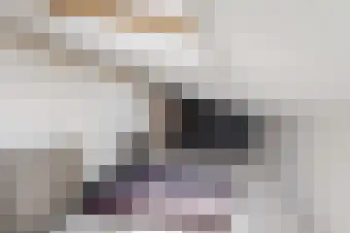 Cato van der Pijlland 21 Heerhugowaard thumbnail 38