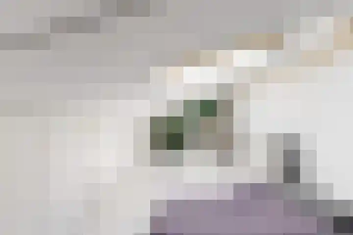 Cato van der Pijlland 21 Heerhugowaard thumbnail 39