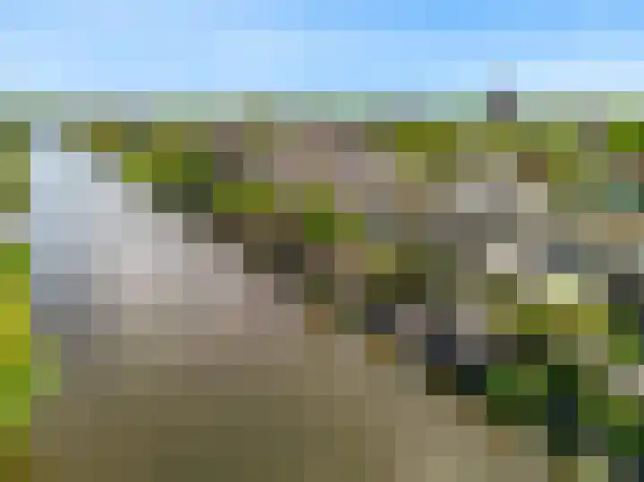 Cato van der Pijlland 21 Heerhugowaard thumbnail 41