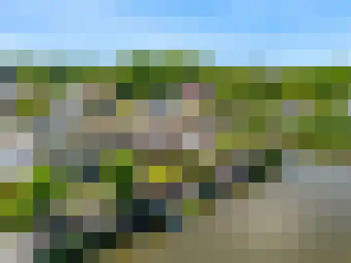 Cato van der Pijlland 21 Heerhugowaard thumbnail 43