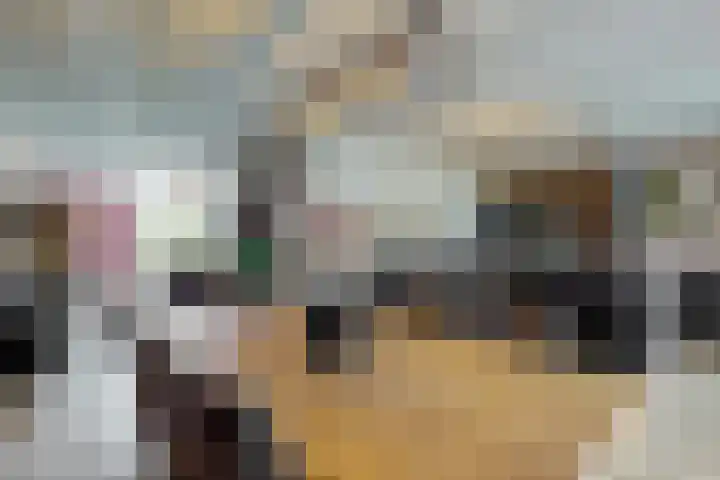 Cato van der Pijlland 21 Heerhugowaard thumbnail 9