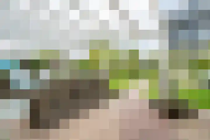 Cato van der Pijlland 27 Heerhugowaard thumbnail 25
