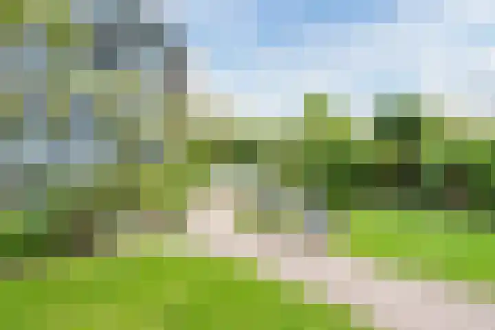 Cato van der Pijlland 27 Heerhugowaard thumbnail 27