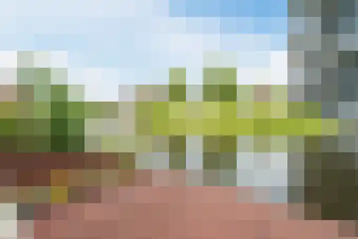 Cato van der Pijlland 27 Heerhugowaard thumbnail 28