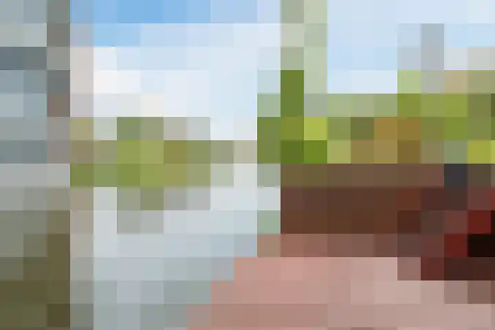 Cato van der Pijlland 27 Heerhugowaard thumbnail 29