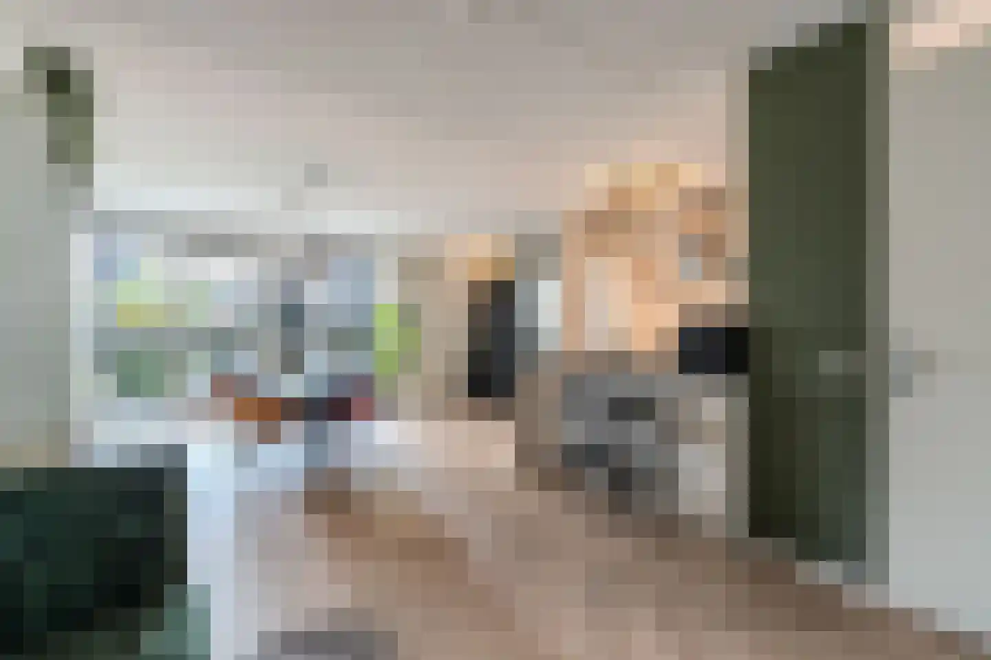 Catrijn Epessingel 25 Bolsward thumbnail 13
