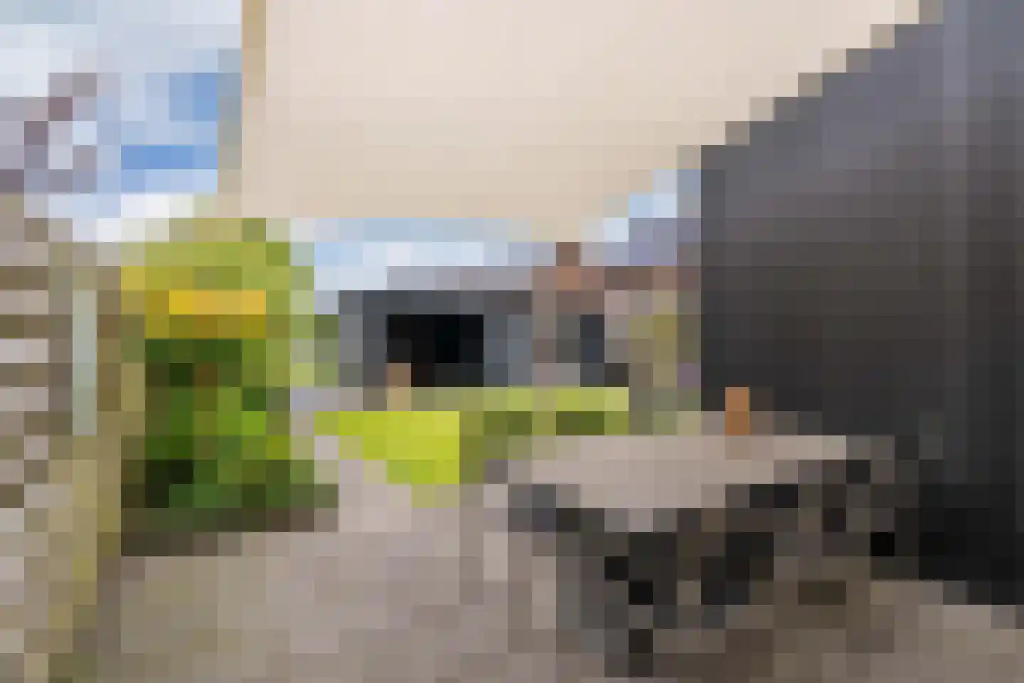 Catrijn Epessingel 25 Bolsward thumbnail 24