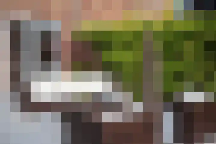 Catrijn Epessingel 28 Bolsward thumbnail 11