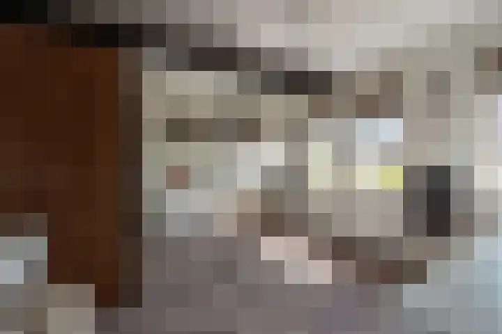Catrijn Epessingel 28 Bolsward thumbnail 28