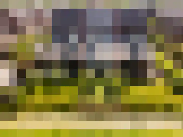 Catrijn Epessingel 28 Bolsward thumbnail 5