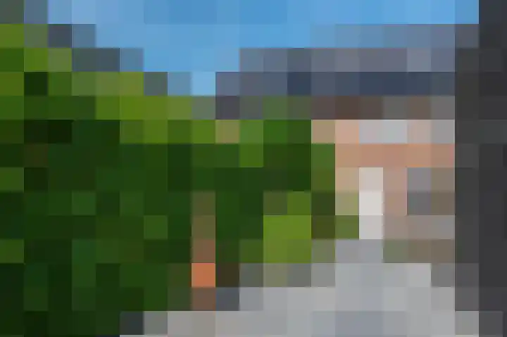 Catrijn Epessingel 28 Bolsward thumbnail 8
