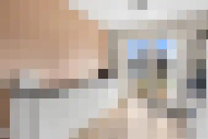 Catrijn Epessingel 29 Bolsward thumbnail 14
