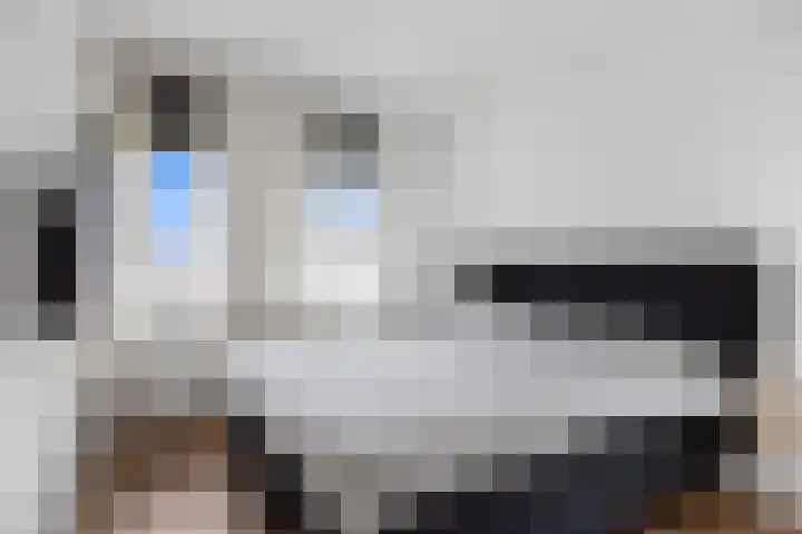 Catrijn Epessingel 29 Bolsward thumbnail 18