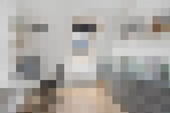 Catrijn Epessingel 29 Bolsward thumbnail 23