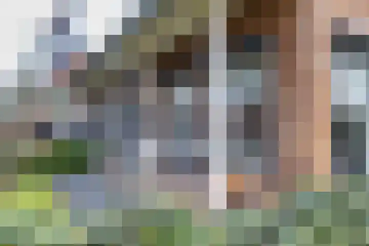 Catrijn Epessingel 29 Bolsward thumbnail 30