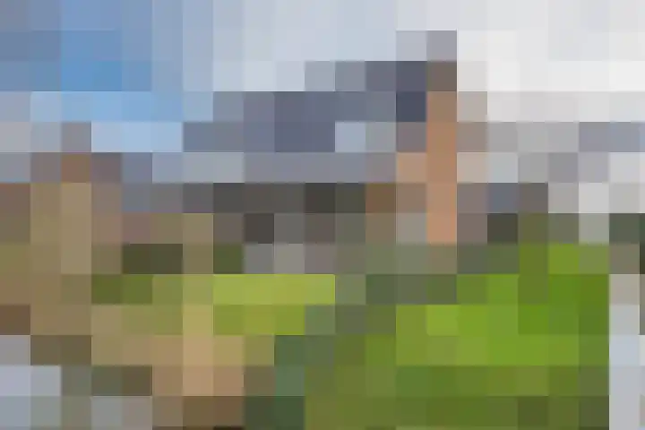 Catrijn Epessingel 29 Bolsward thumbnail 33