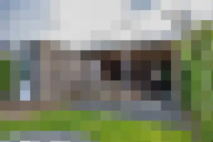 Catrijn Epessingel 29 Bolsward thumbnail 36
