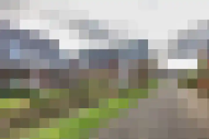 Catrijn Epessingel 29 Bolsward thumbnail 40