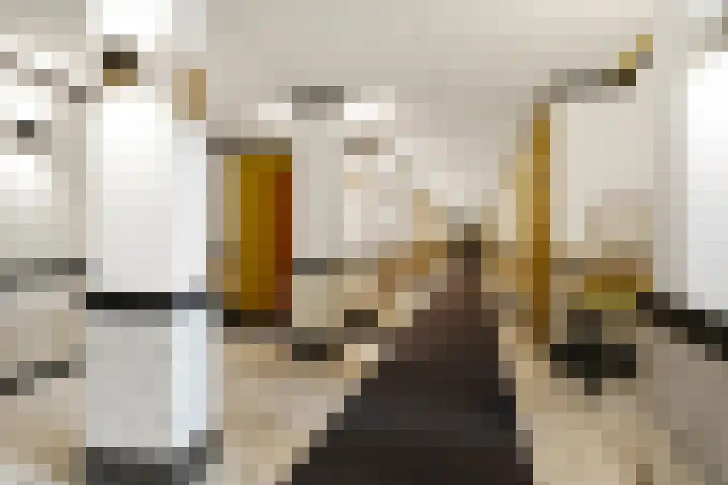 Catsheuvel 125 Den Haag thumbnail 12