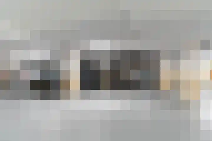 Catsheuvel 177 Den Haag thumbnail 22