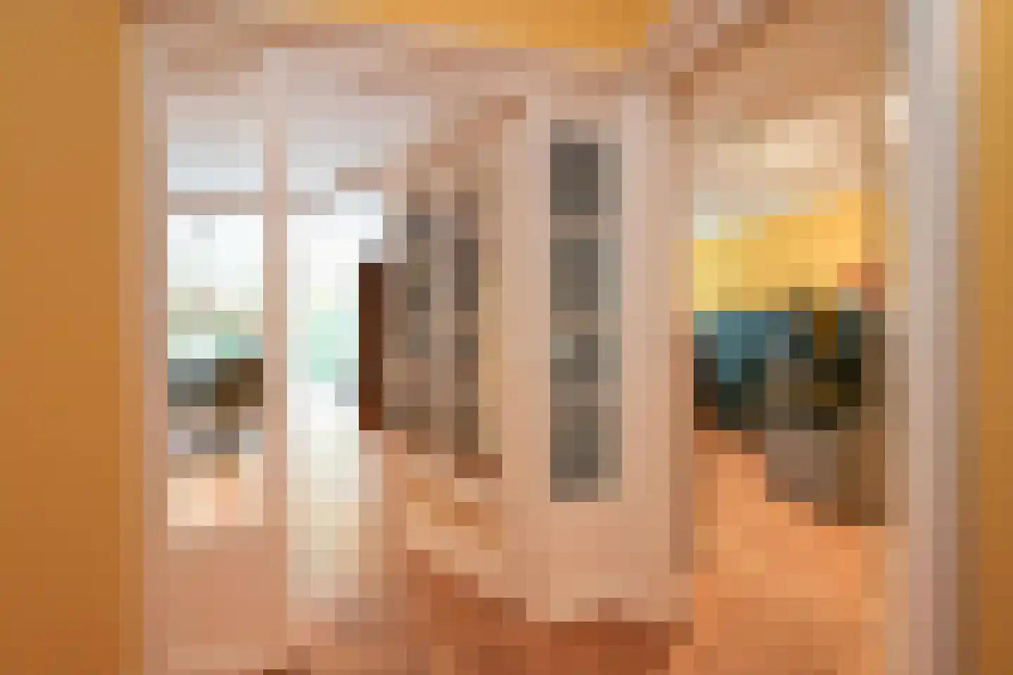 Catsheuvel 85 Den Haag thumbnail 10