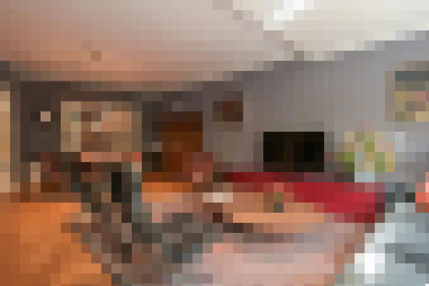 Catsheuvel 85 Den Haag thumbnail 15