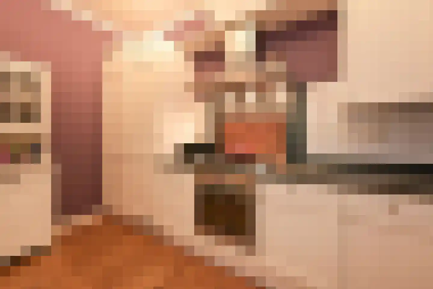 Catsheuvel 85 Den Haag thumbnail 18