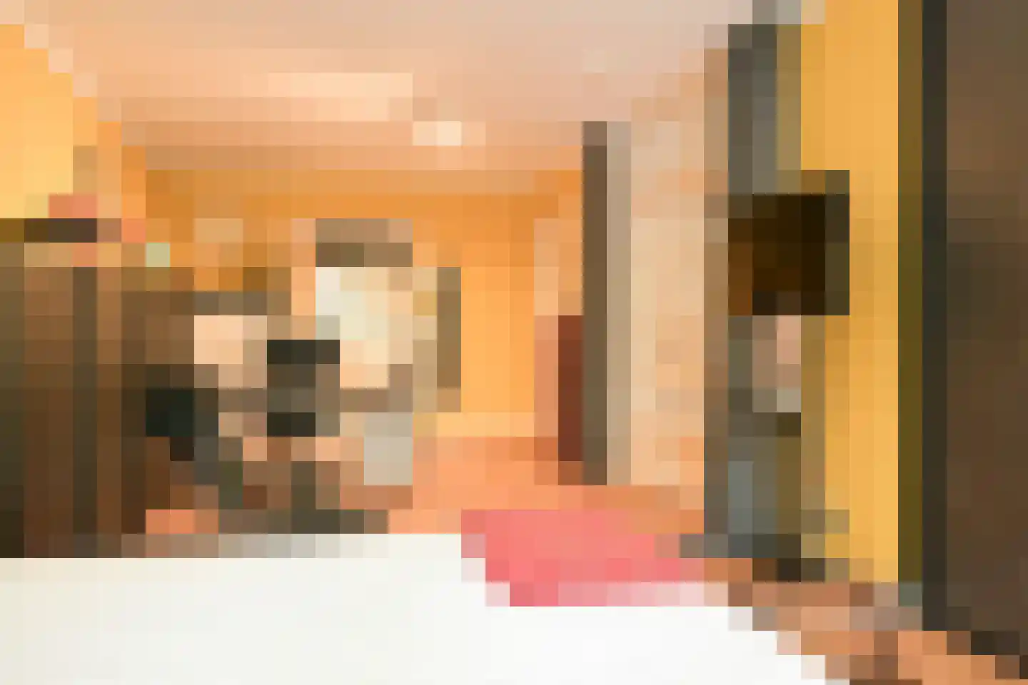 Catsheuvel 85 Den Haag thumbnail 27