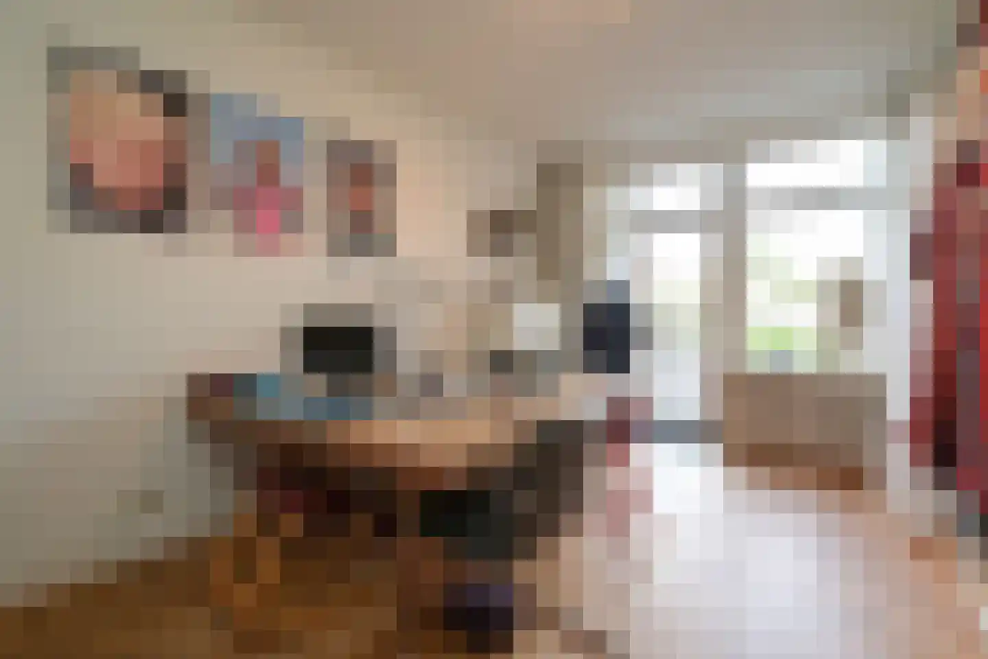 Catsheuvel 85 Den Haag thumbnail 31