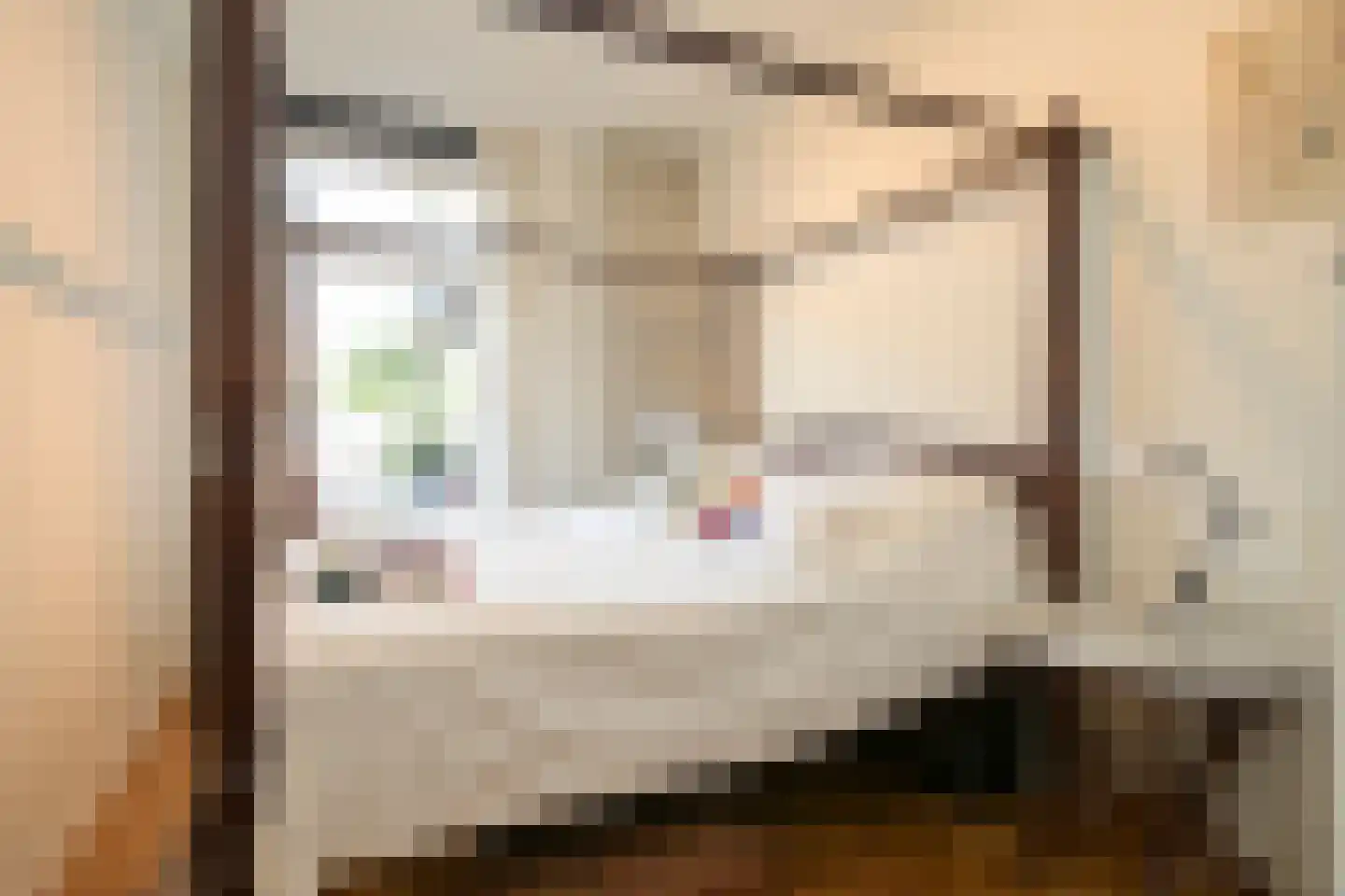Catsheuvel 85 Den Haag thumbnail 36