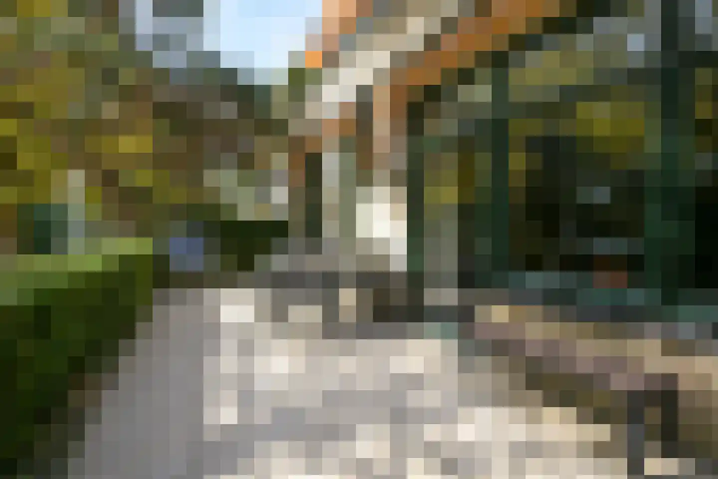 Catsheuvel 85 Den Haag thumbnail 40