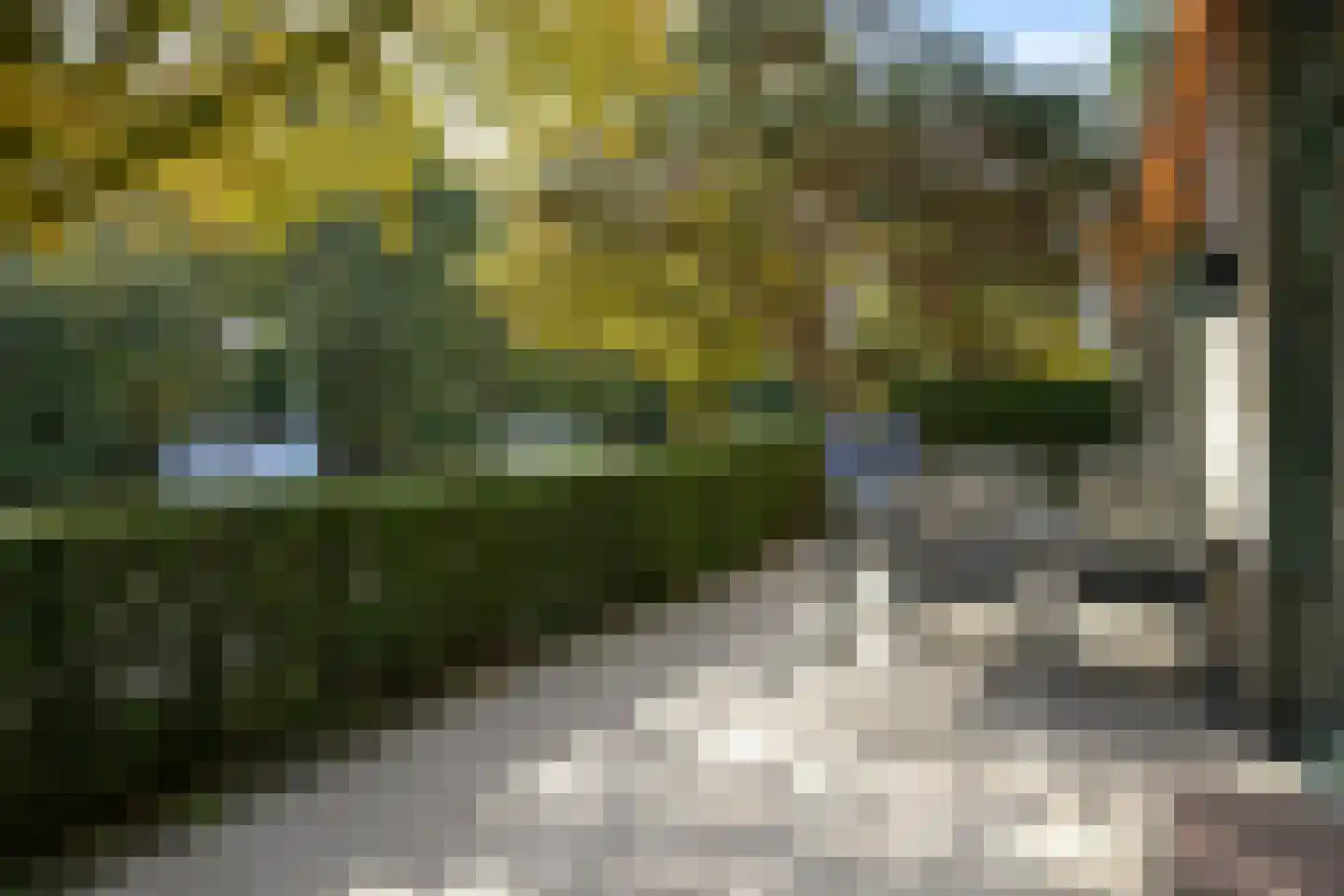 Catsheuvel 85 Den Haag thumbnail 41