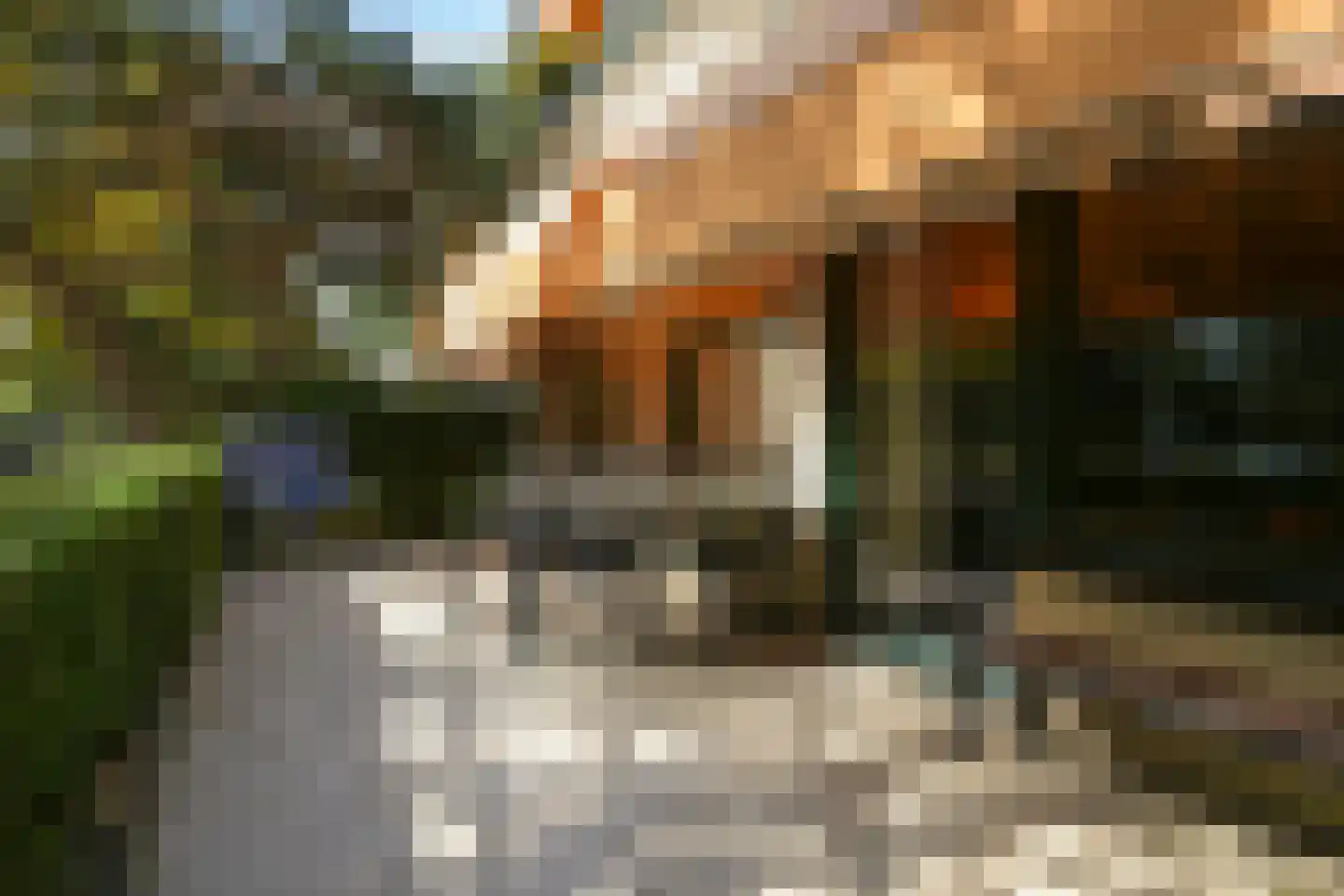 Catsheuvel 85 Den Haag thumbnail 44