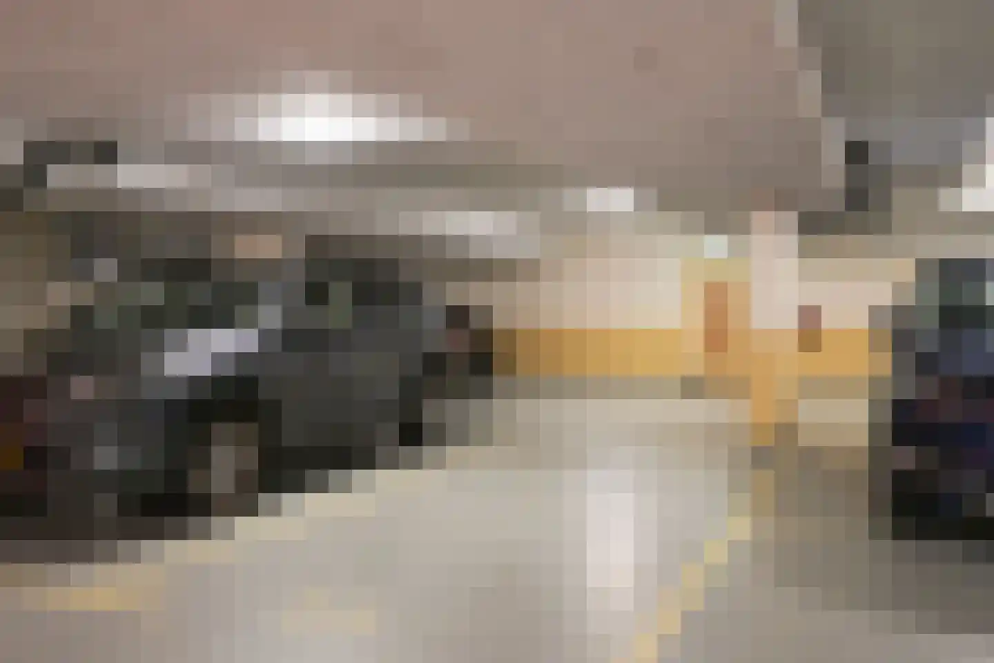 Catsheuvel 85 Den Haag thumbnail 45