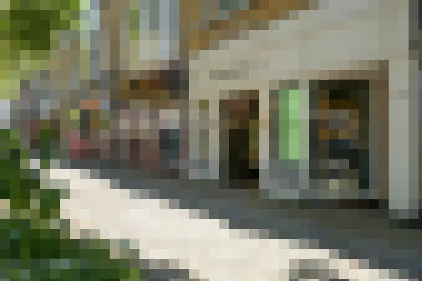 Catsheuvel 85 Den Haag thumbnail 53