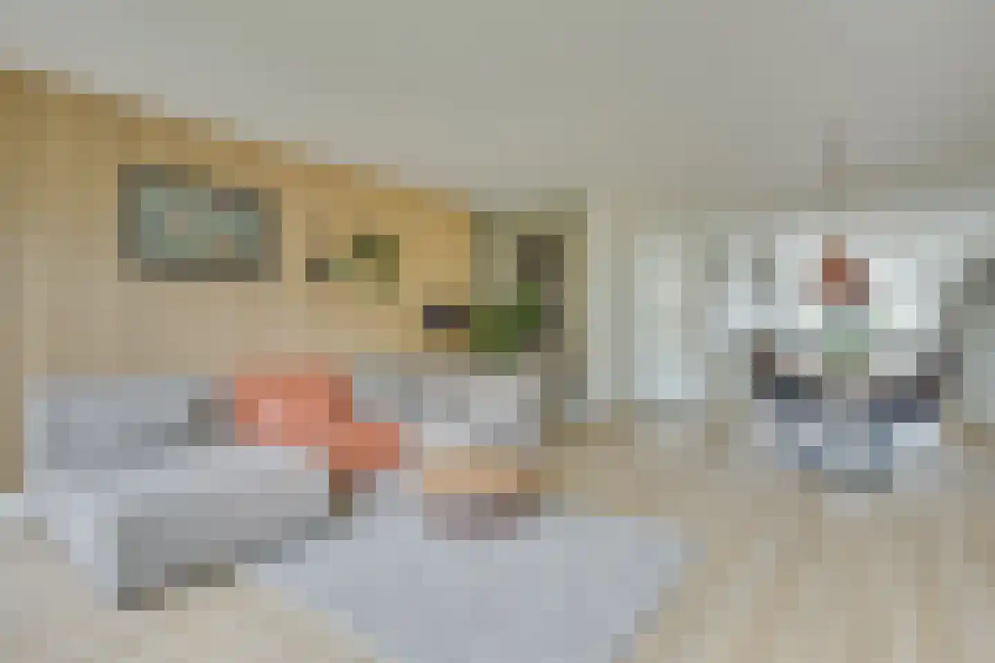 Catshoek 5 Alkmaar thumbnail 13