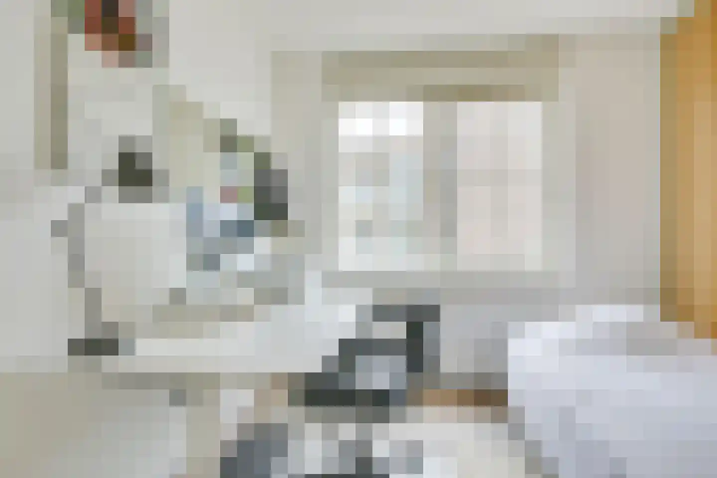 Catshoek 5 Alkmaar thumbnail 26