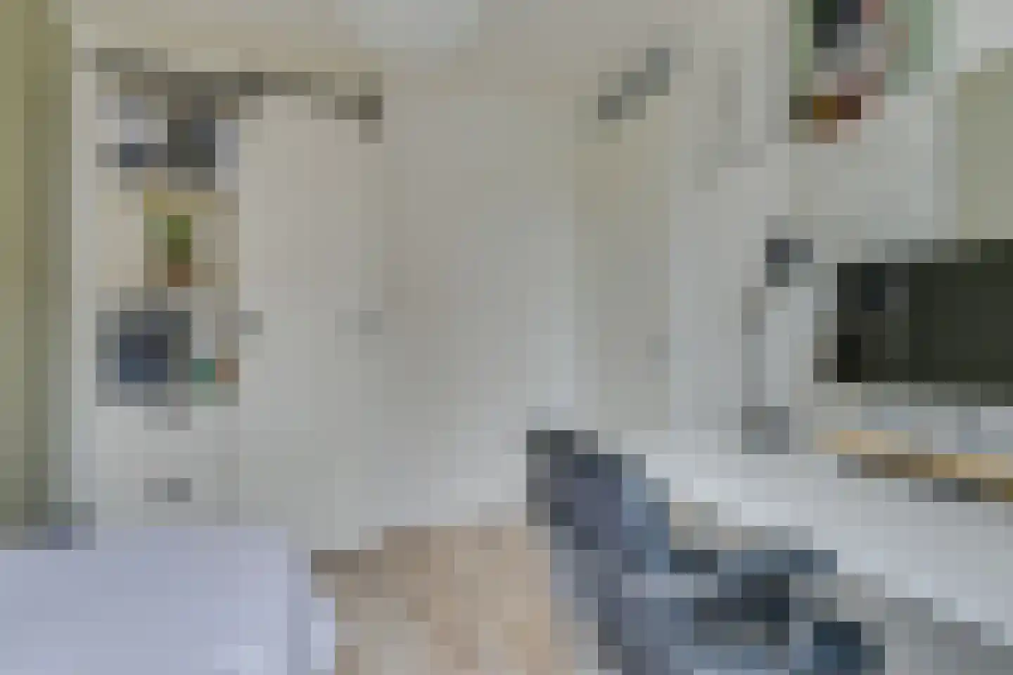 Catshoek 5 Alkmaar thumbnail 27