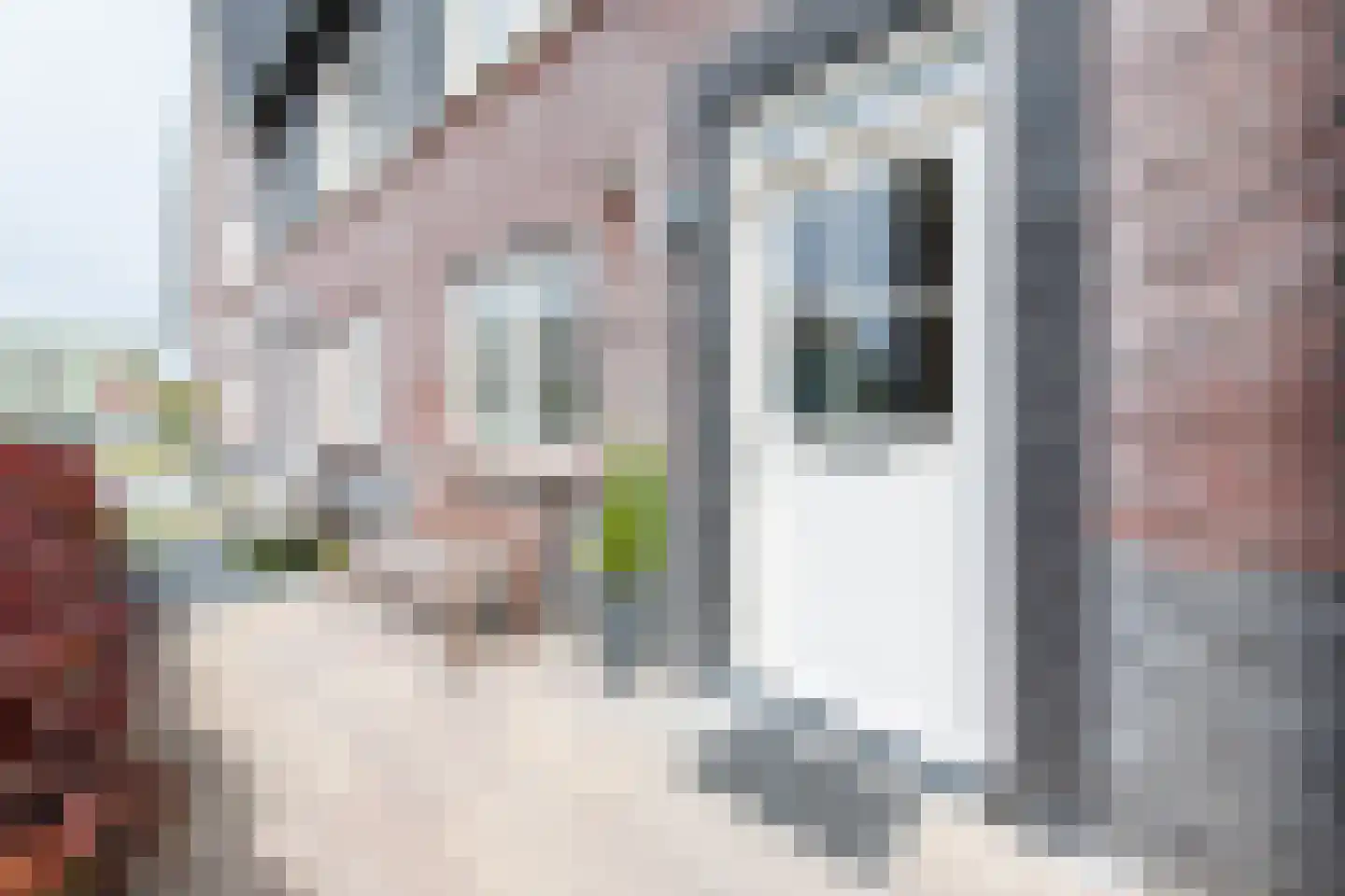 Catshoek 5 Alkmaar thumbnail 39