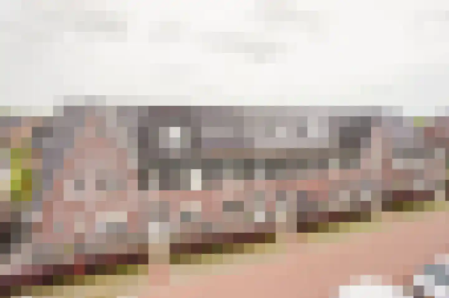 Catshoek 5 Alkmaar thumbnail 6