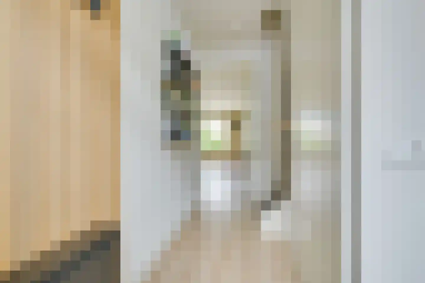 Catshoek 5 Alkmaar thumbnail 8