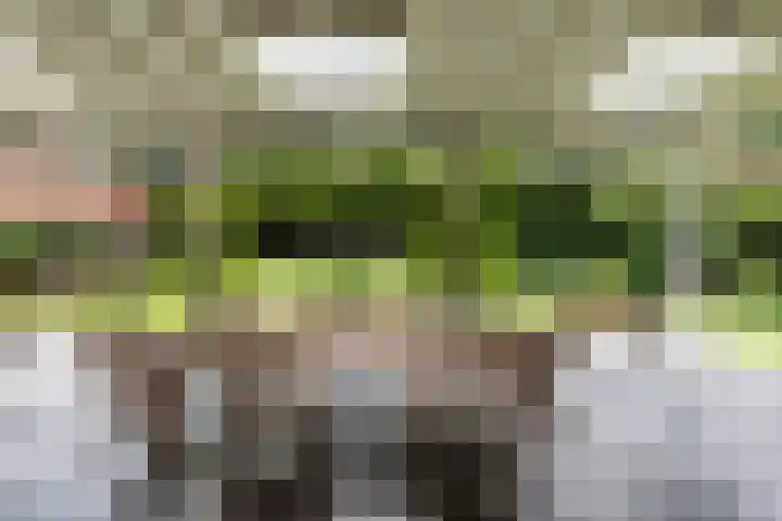 Catslaan 6 Aerdenhout thumbnail 12