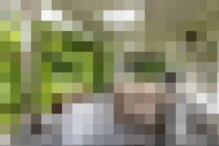 Catslaan 6 Aerdenhout thumbnail 13