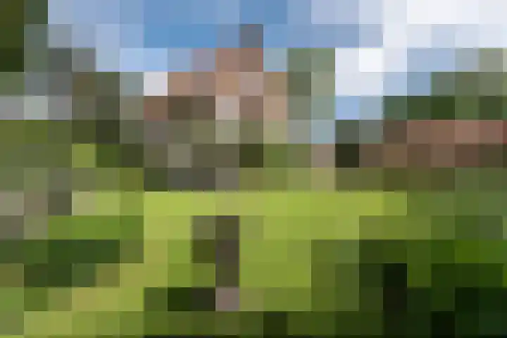 Catslaan 6 Aerdenhout thumbnail 35