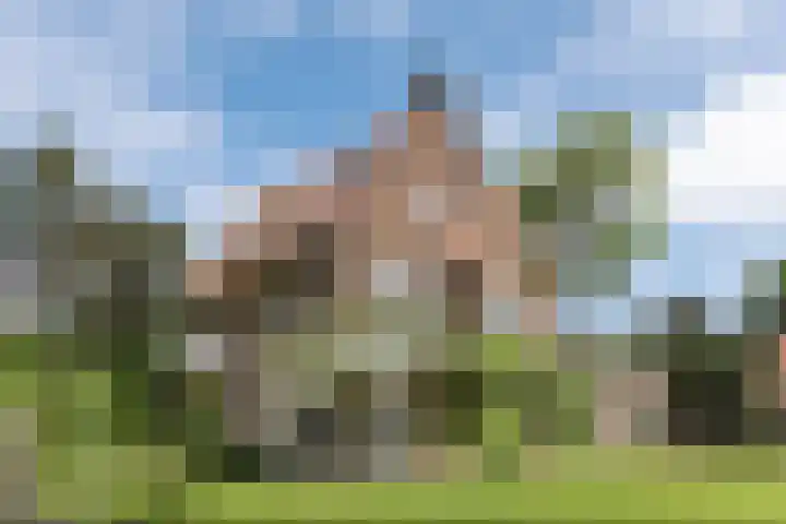 Catslaan 6 Aerdenhout thumbnail 37