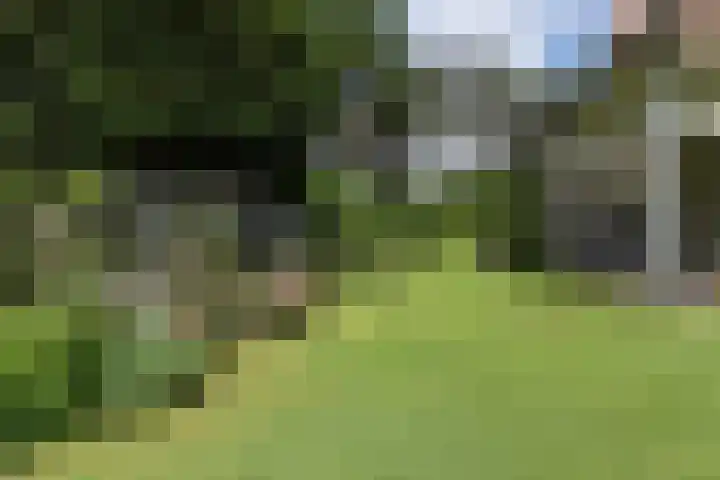 Catslaan 6 Aerdenhout thumbnail 38