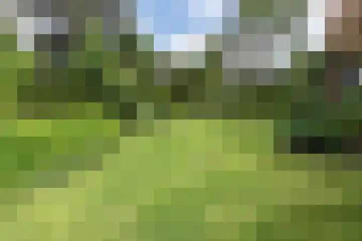 Catslaan 6 Aerdenhout thumbnail 39
