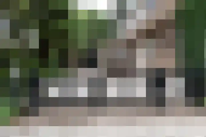 Catslaan 6 Aerdenhout thumbnail 42