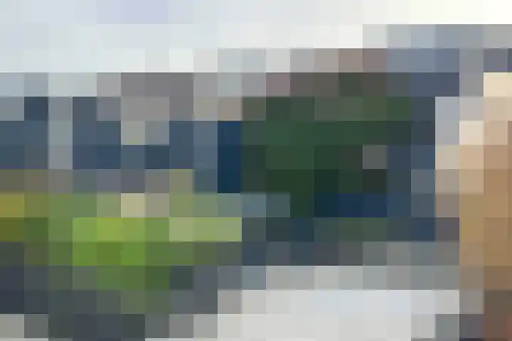 Catsstraat 11 Bergschenhoek thumbnail 10