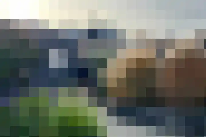 Catsstraat 11 Bergschenhoek thumbnail 11